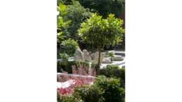 Shrub and perennial planting softening built environment in modern estate garden