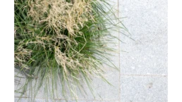 Residential Estate Landscape Design
