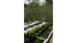 Residential Estate Landscape Design