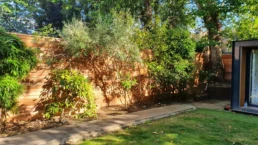 cedar fencing