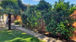 cedar fencing