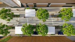 School Landscape Design Masterplan of Latymer School courtyard with tree layout, seating, and social spaces