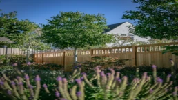 buckinghamshire landscape design concept landscape architects (14)