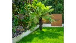 highgate courtyard garden design concept landscape architects (17) highgate courtyard garden design concept landscape architects 17 uai highgate courtyard garden design concept landscape architects (17)